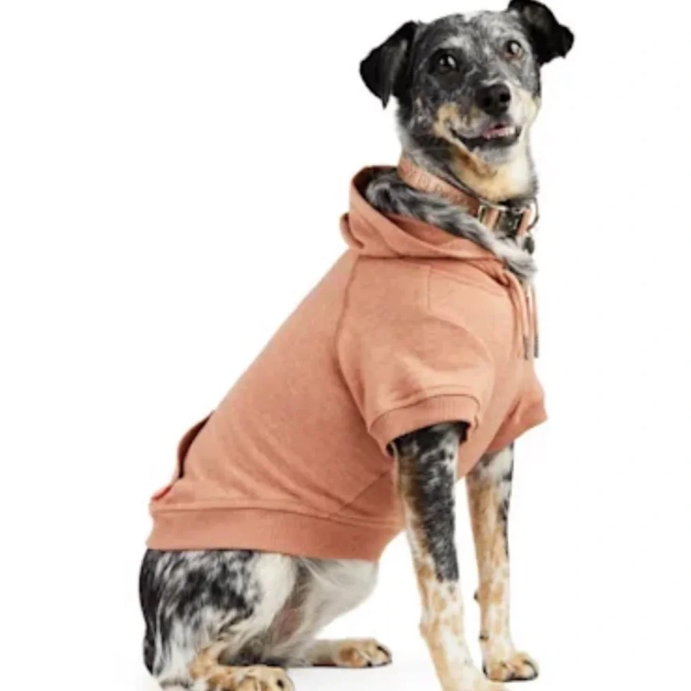 NWT Best Friend Ever Dog Hoodie S